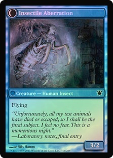 Foilinsectileaberration